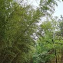 진주에나길 2코스 이미지