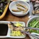 오작교장어 이미지