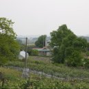 유화 (중급) 이미지