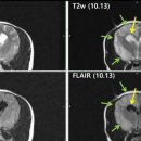 24시루시드동물메디컬센터 이미지