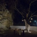 599맨션
