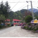 한계령우와교민박 이미지