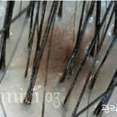 아미치0.3(부천상동점) 이미지