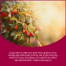 신세계성형외과의원 이미지