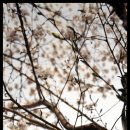 소달초교 이미지