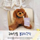 지연이네 강아지 고양이 수제간식 | 구미 산동 봉구의간식 강아지수제간식 구미애견용품 강아지옷 장난감