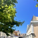 베니스통닭 이미지