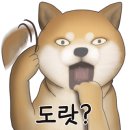 스시쿄다이 이미지