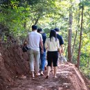 산책길-1 이미지