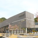 원 탑 태권도 이미지