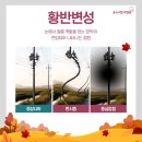 온누리안과병원 이미지