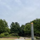 다락원 장애인의집 | 서울 여름 가볼만한곳 도봉산 창포원 둘레길1코스 여자혼자 놀거리