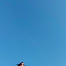 노을이 아름다운 하단복합센터 이미지