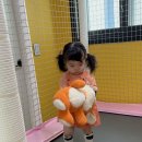 풀빌라드림 이미지