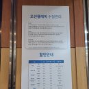 스위트펫 이미지