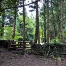 선흘리에 이미지