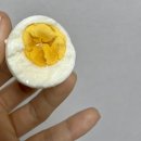 삼정휴먼지소스 노동조합 | 4월 일상(1)- 양재천벚꽃/서울 둘레길/레이지하우스오픈런