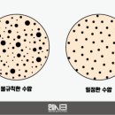 시크맨 이미지