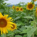 창평농장 이미지