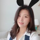 종합운동장 가로수길 이미지