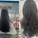 위그살롱 이미지