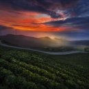 새벽노을 이미지