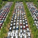 수정화물 이미지