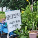 미나반점 | 거제 둔덕 맛집ㆍ동네반점이 영화 촬영 후 &lt;미나반점&gt;으로