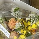 마노아플라워 - 용인시 처인구 원양로 603 | 마노아플라워