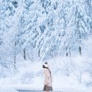 (주)투어메이트 이미지