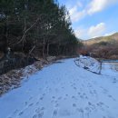 용담면사무소 이미지