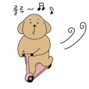 소소한컷사진관 이미지