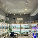 백돈 유성점 | 대전 아쿠아리움 유성온천역 수족관카페 무인카페 24