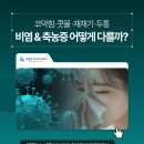 맑은하루이비인후과의원 이미지