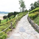 영광중앙초등학교 이미지