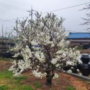 명가농장 이미지