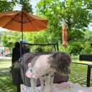 호호분식 이미지