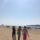 신비의바닷길민박 이미지