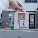 럽코들 네이버블로그