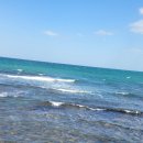 제주앓이 이미지