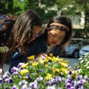 평촌초등학교 이미지