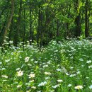 한재골(광장) 이미지