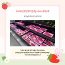 금산농업협동조합 하나로마트 | [거제정보]둔덕농협 하나로마트 본점 | 둔덕 거봉·한우 추천 &amp; 한돈 특가 할인 후기