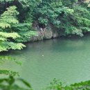 편백산림욕장 진입로 이미지