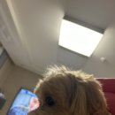 송천세탁소 이미지