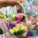 미란꽃방 이미지