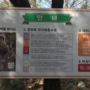 구룡레저타운야영장 이미지