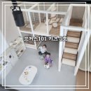 코커스101 이미지