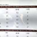 그루미송 이미지