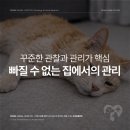 심동물병원 이미지